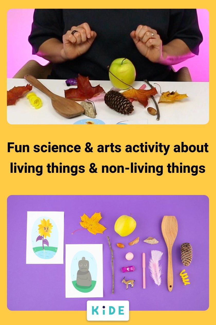 4 Easy Play-Based living things Activity Ideas for Kids